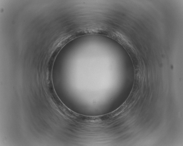 X0000075330548200609080733