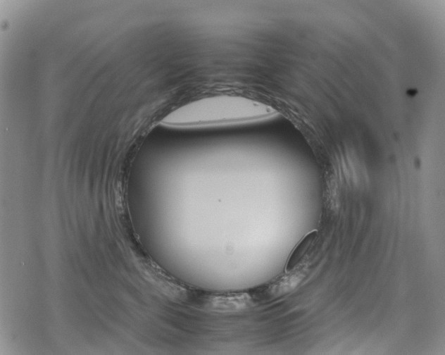 X0000075330571200609080733
