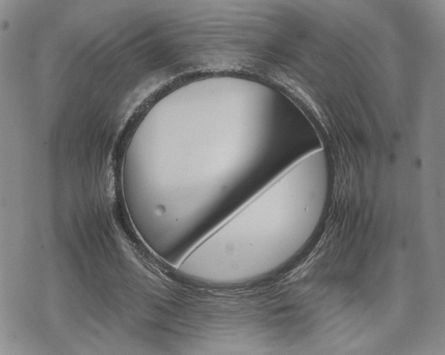 X0000075330584200609080732