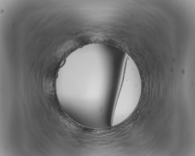 X0000075330619200609080732