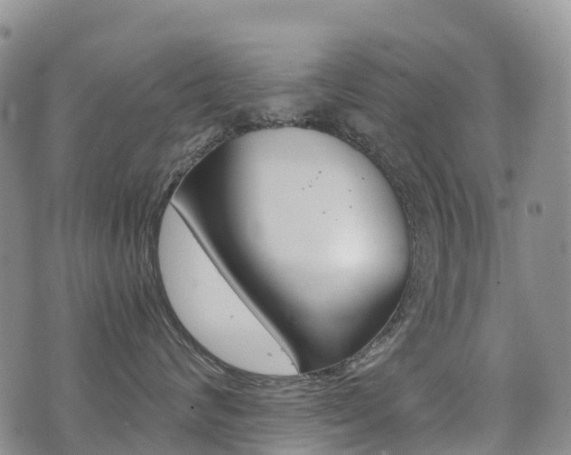X0000075330624200609080731