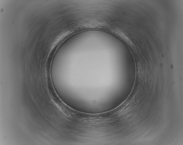 X0000075330626200609080731
