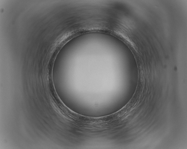 X0000075330631200609080731