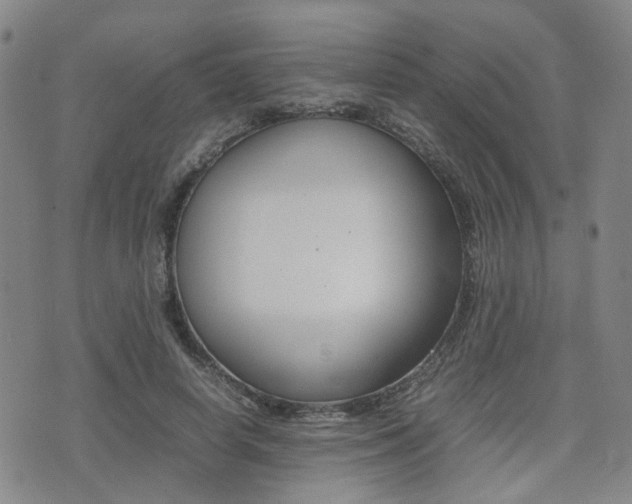 X0000075330642200609080731