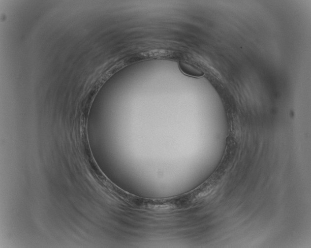 X0000075330645200609080731