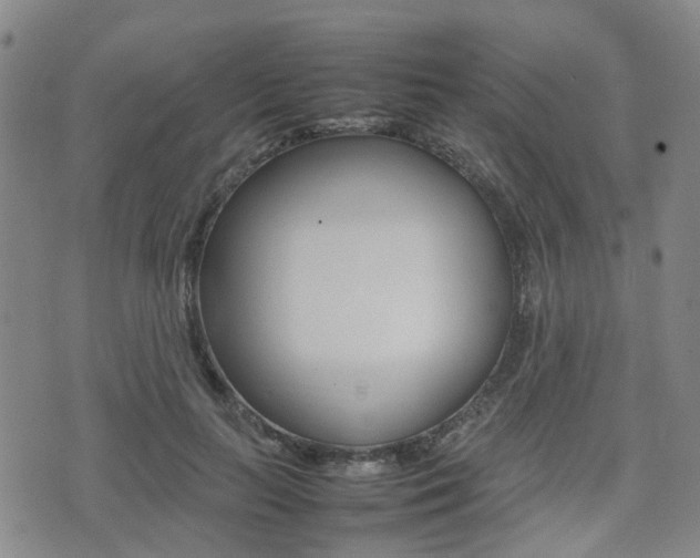 X0000075330647200609080731