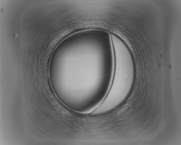X0000075330673200609080731