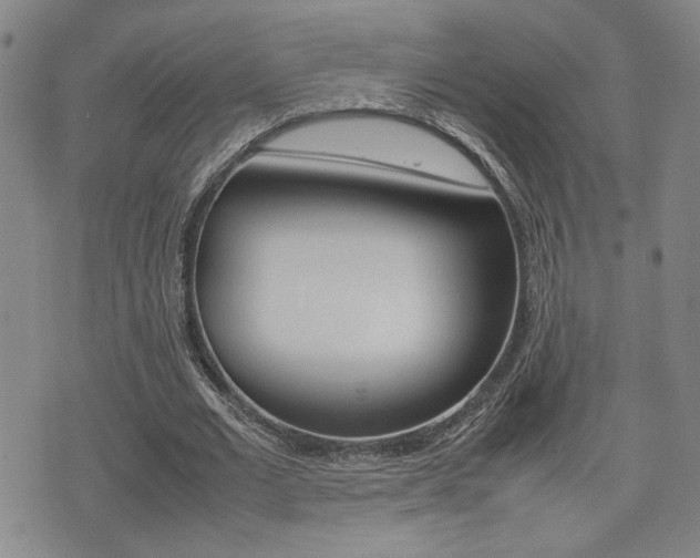 X0000075330677200609080731