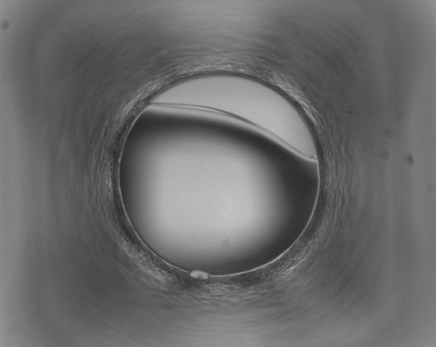 X0000075330681200609080731