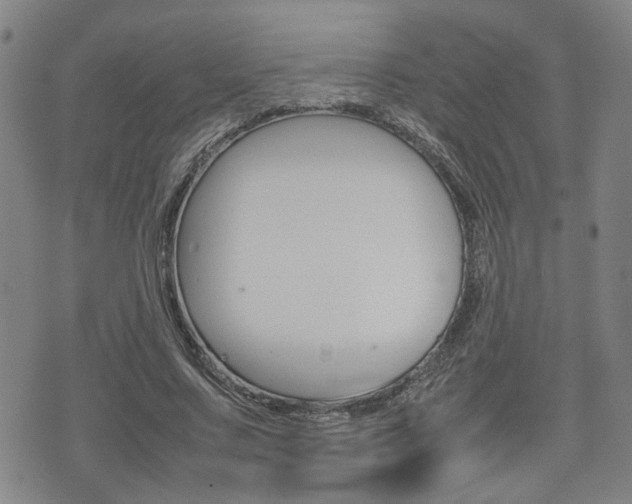 X0000075330683200609080731