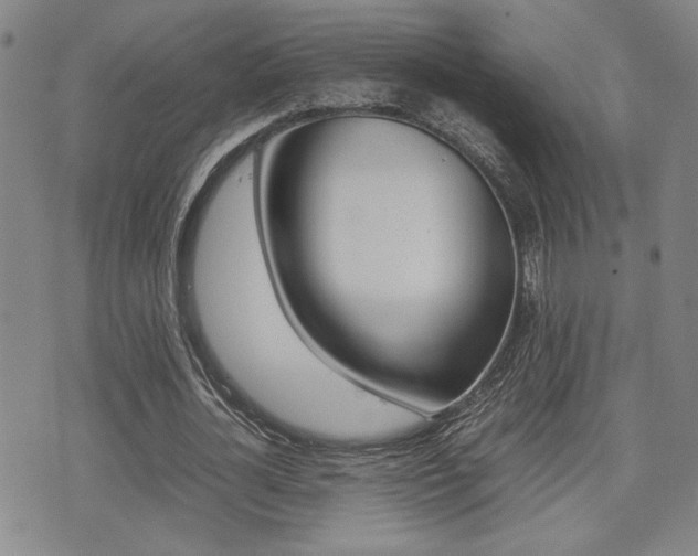 X0000075330724200609080729