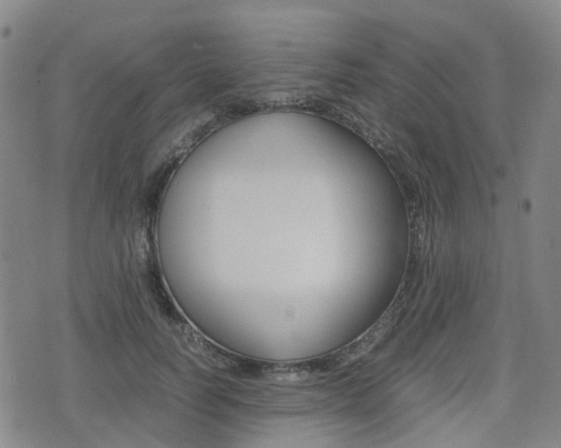 X0000075330746200609080730