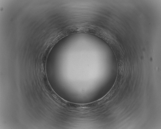 X0000075330748200609080730