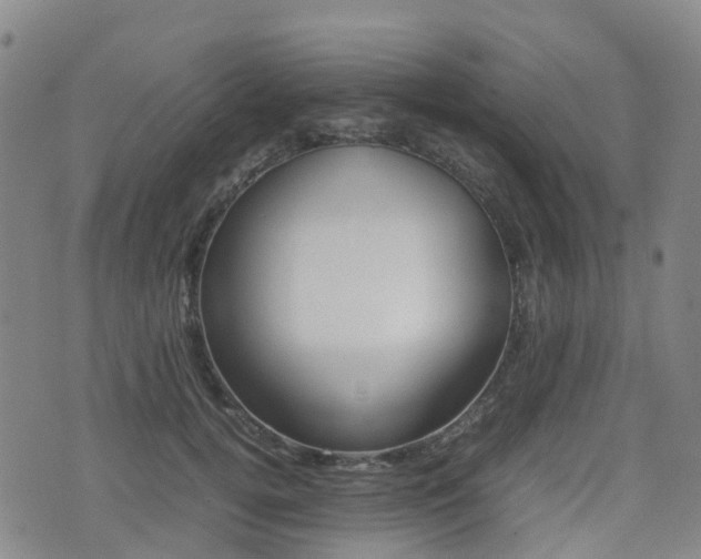 X0000075330752200609080730