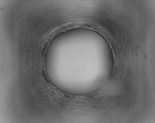 X0000075330773200609080729