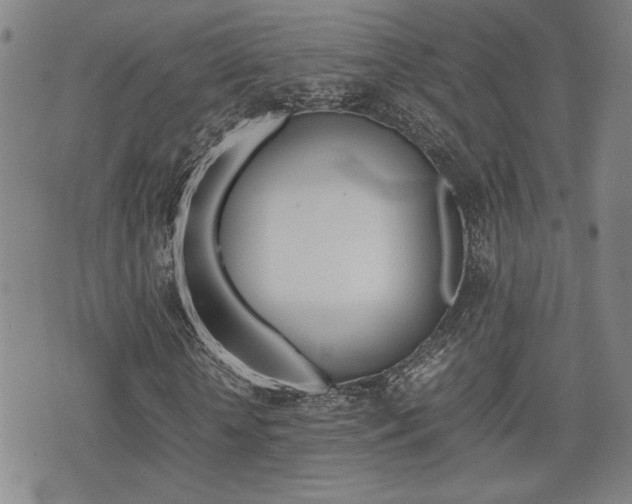 X0000075330818200609080728