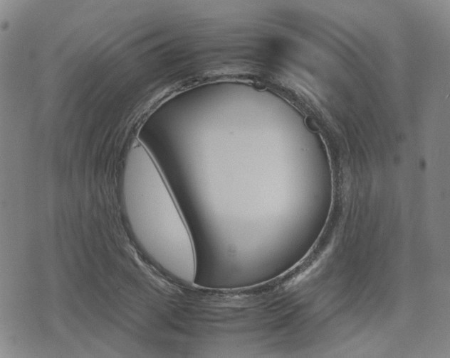 X0000075330833200609080728