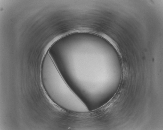 X0000075330861200609080728