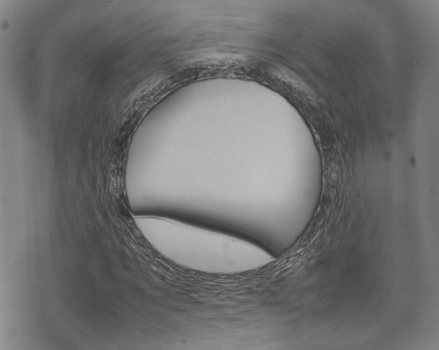 X0000075330869200609080728