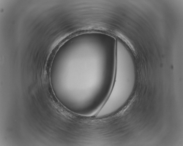 X0000075330876200609080727