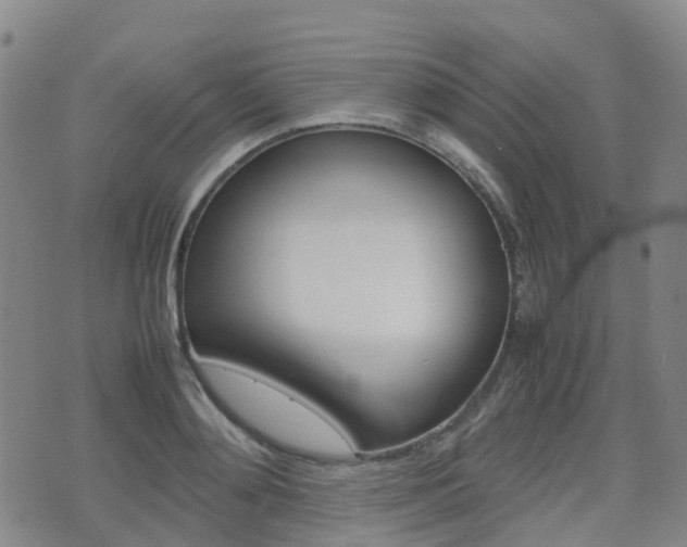 X0000075330892200609080727