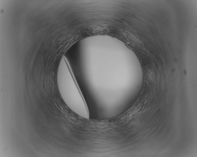 X0000075330914200609080726
