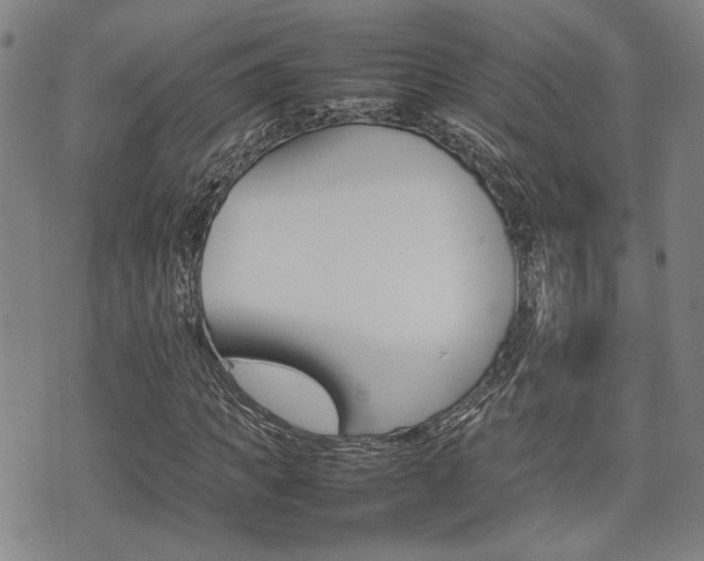 X0000075330917200609080726
