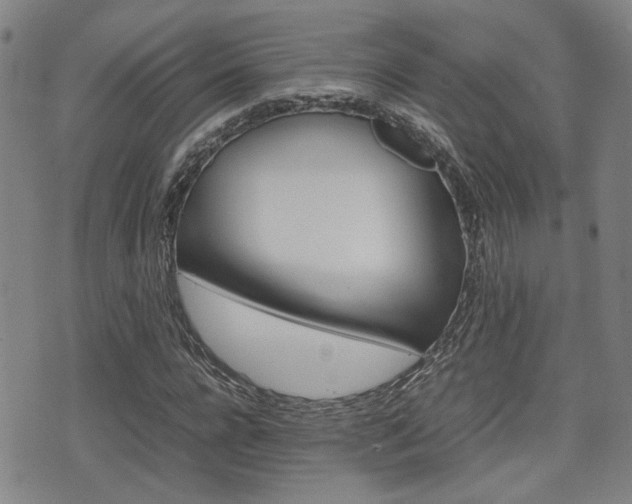 X0000075330920200609080726