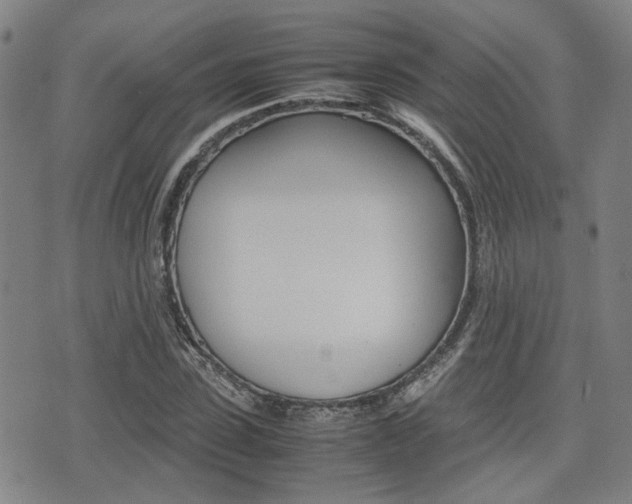 X0000075330923200609080726