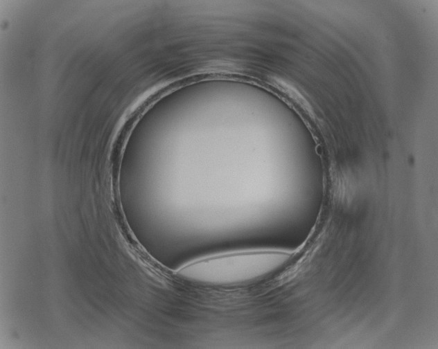 X0000075330931200609080726
