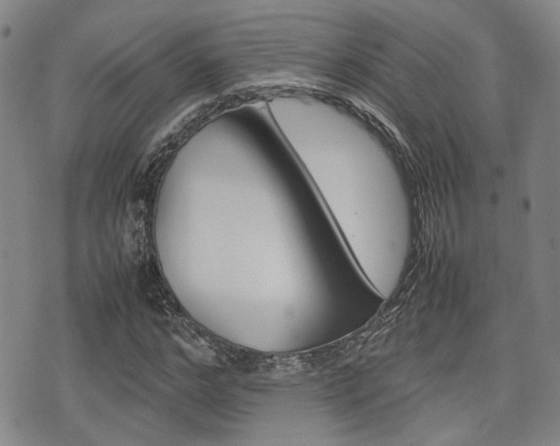 X0000075330968200609080726