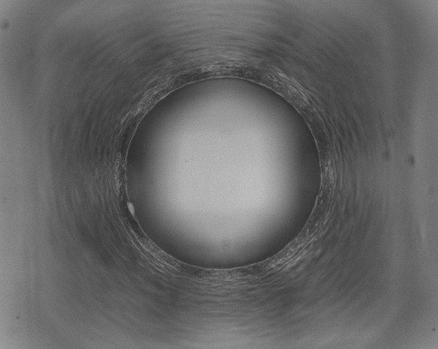 X0000075331012200609080725