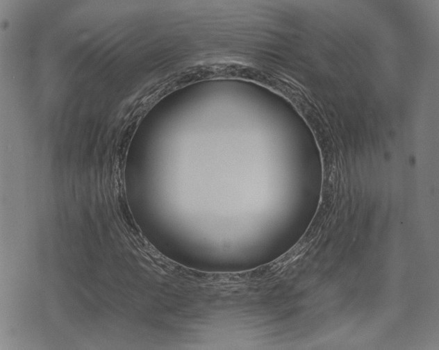 X0000075331014200609080725