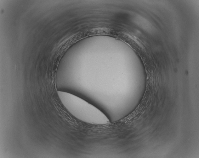 X0000075331015200609080725