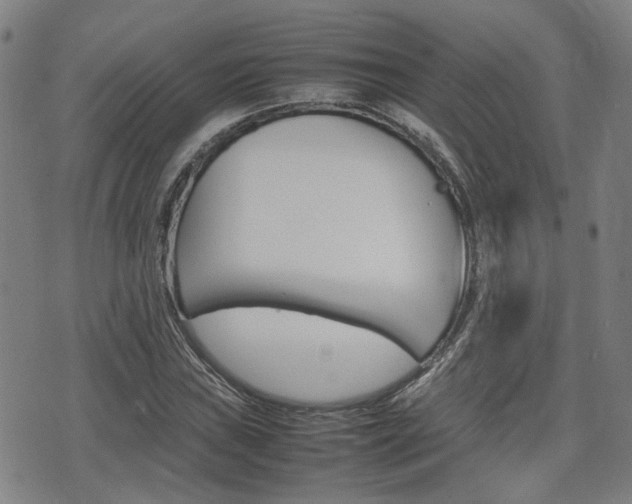 X0000075331019200609080725
