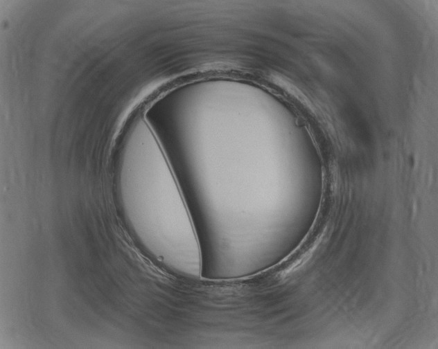 X0000075331021200609080725