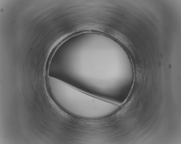 X0000075331028200609080725