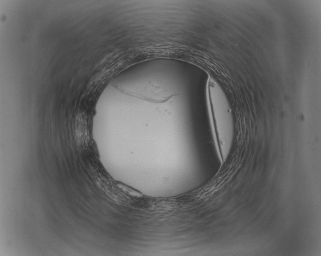 X0000075331058200609080724