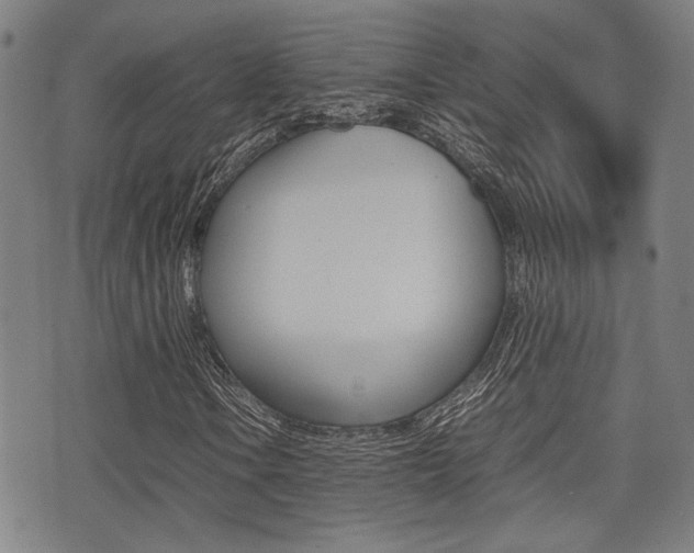 X0000075331106200609080723
