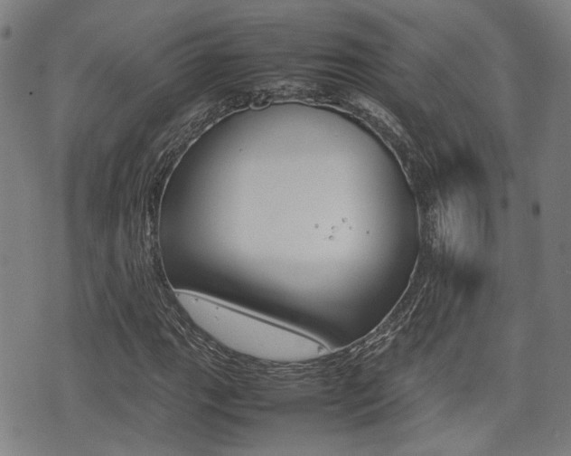 X0000075331111200609080723