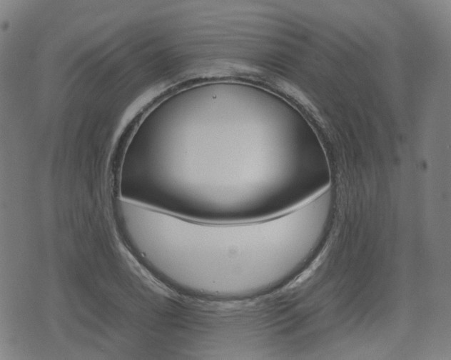 X0000075331122200609080723