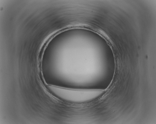 X0000075331124200609080723