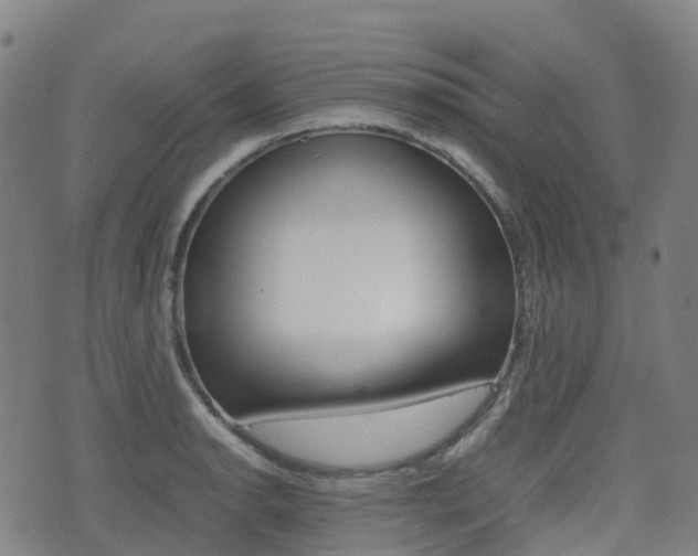 X0000075331134200609080723