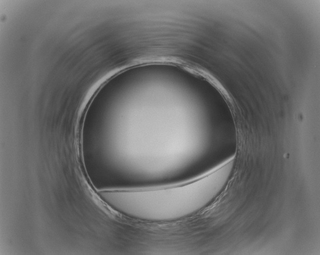 X0000075331148200609080724