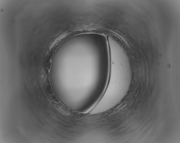 X0000075331160200609080723