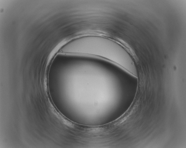X0000075331188200609080722