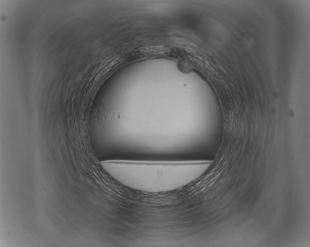 X0000075331201200609080721