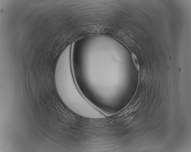 X0000075331202200609080721