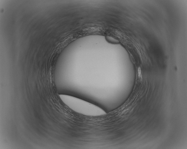 X0000075331203200609080721