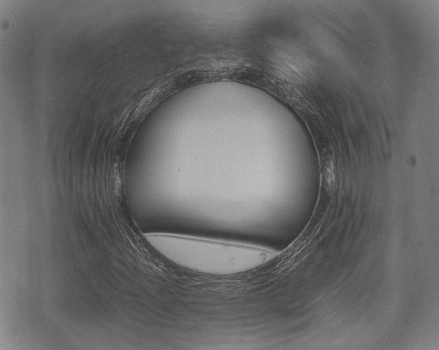 X0000075331204200609080721